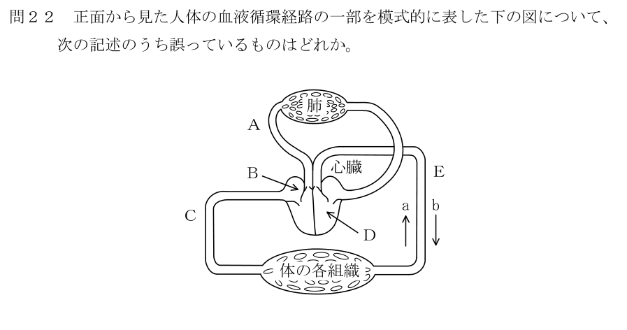 設問の図