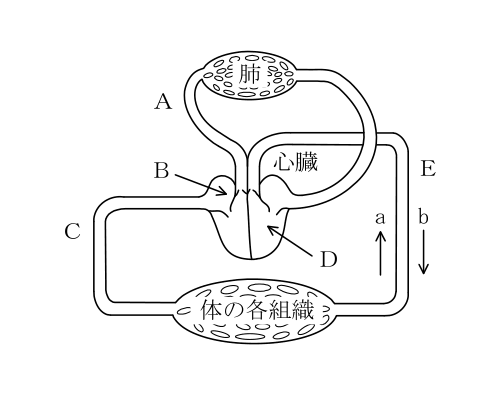 潜水士 2025年下半期(2026年4月公表) 第22問の表